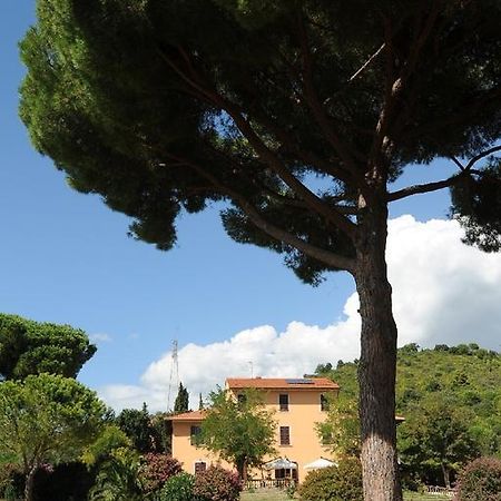 Villa Boldrini B&B Venturina Terme Ngoại thất bức ảnh