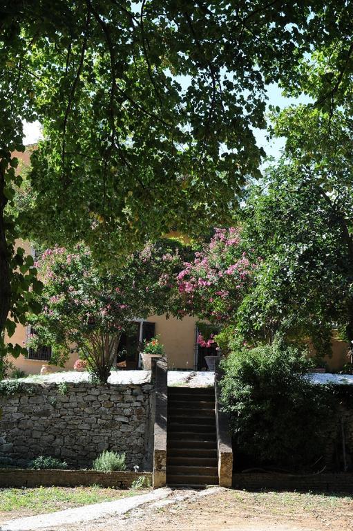 Villa Boldrini B&B Venturina Terme Ngoại thất bức ảnh