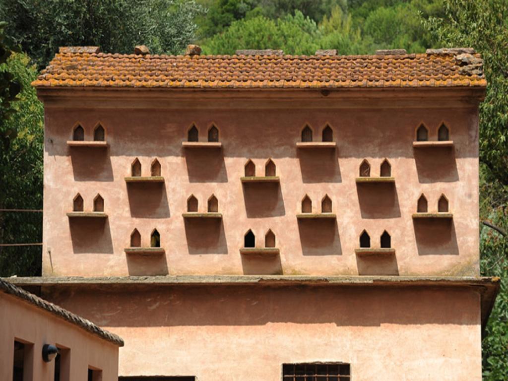 Villa Boldrini B&B Venturina Terme Ngoại thất bức ảnh